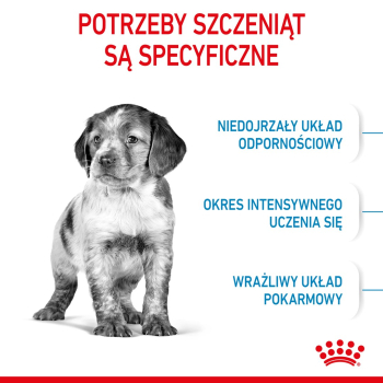 ROYAL CANIN SHN Medium Puppy - sucha karma dla szczeniąt - 4kg