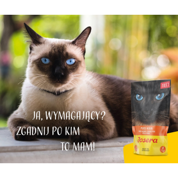 JOSERA Filet kurczak - mokra karma dla kota - 70 g