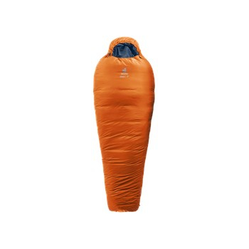Orbita -5° EL atrament kasztanowy