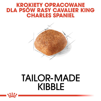 ROYAL CANIN BHN Cavalier King Charles Spaniel Adult - sucha karma dla psa dorosłego - 1,5kg