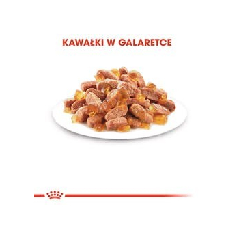 ROYAL CANIN FHN Kitten Instinctive in Jelly  - mokra karma dla kociąt - 12x85g