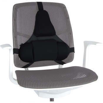Fellowes Ergonomia  podpórka poduszka profesjonalna pod plecy