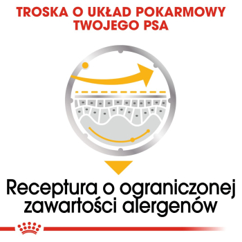 ROYAL CANIN CCN DERMACOMFORT LOAF  mokra karma dla psa dorosłego - 12x85g
