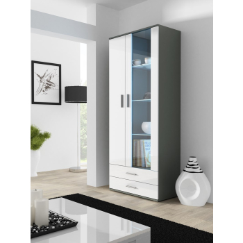Witryna SOHO S6 2D2S szary/ biały połysk