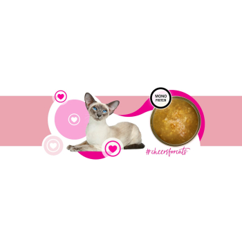 3Coty TURKEY Cheers! Complementary feed for cats 75g