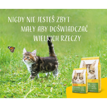 JOSERA Kitten grainfree - sucha karma dla kota - 400g