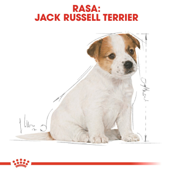Karma Royal Canin SHN Breed Jack Russ Jun (3 kg )