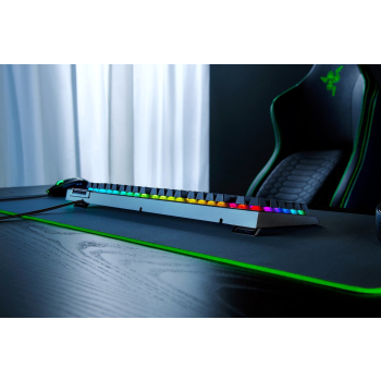 Razer BlackWidow V4 X. Tastatur Formfaktor: Volle Größe (100%), Geräteschnittstelle: USB, Tastatur-Switch: Mechanischer Switch. Typ der Hintergrundbel