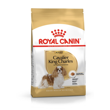 ROYAL CANIN BHN Cavalier King Charles Spaniel Adult - sucha karma dla psa dorosłego - 1,5kg