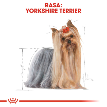 ROYAL CANIN BHN Yorkshire Terrier Adult - mokra karma dla psa dorosłego - 12x85g