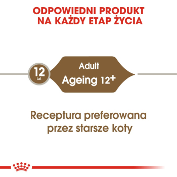 ROYAL CANIN FHN Ageing 12+ w galaretce - mokra karma dla kota starszego - 12x85g
