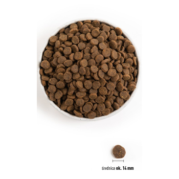 ACANA SINGLES Free-Run Duck - sucha karma dla psa - 11,4 kg