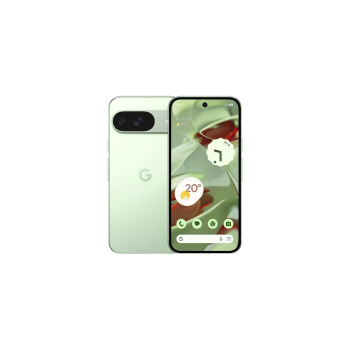 Google Pixel 9 12/128Gb Wintergreen