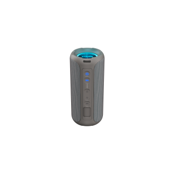 CANYON Głośnik Bluetooth OnMove 15W EQ TWS AUX Szary