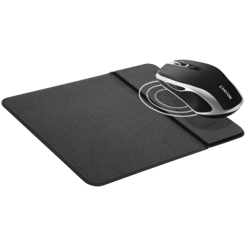products/asbis/CNS-CMSW19B_EU_6.jpg