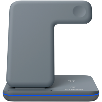 products/asbis/CNS-WCS303DG_1.jpg