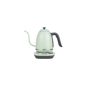BUYDEEM Czajnik typu Gooseneck z regulacją temperatury, K821, kolor Cozy Greenish, EU