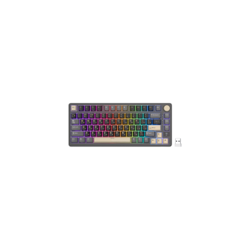 ROYAL KLUDGE RK-M75 Phantom Gaming Keyboard Brown switch