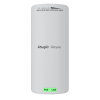 Ruijie Reyee RG-EST100-E | Access Point, kierunkowy, 2 port, 2xFE, 1xPoE IN 24V, WiFi 5, 2.4GHz, 300Mbps, Zewnętrzny, 500M, 1x12V DC, IP55, 1x10dBi, C