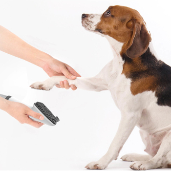products/fen/FEN-PETPROTQ500_8.jpg