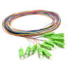 12X PIGTAIL SC/APC SM G657A2 GOLD zestaw 12x 2m