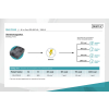 products/incom/UPDGUNBE0020_a8.jpg